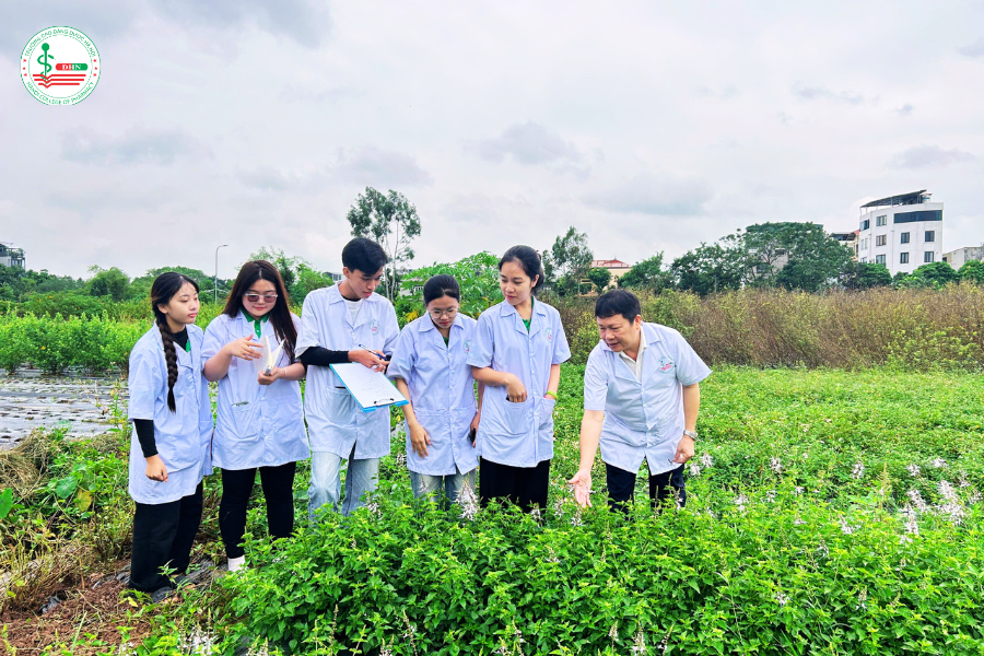 Tại đây, các em được tận mắt quan sát, tận tay chạm vào và cảm nhận hương thơm đặc trưng của từng loại dược liệu