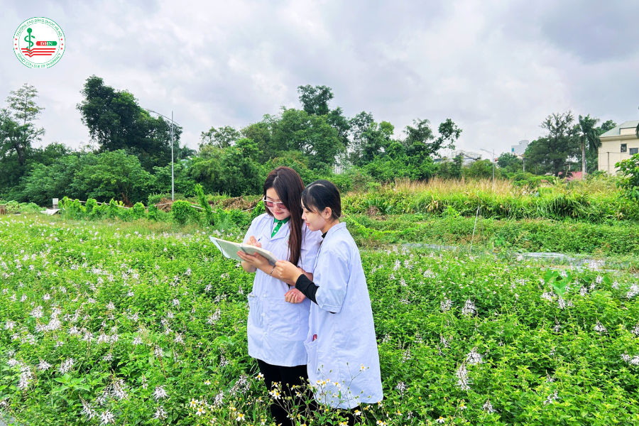 Chuyến thực địa dược liệu tại Viện Dược liệu Bộ Y tế đã khép lại với nhiều bài học quý giá cho sinh viên ngành Dược