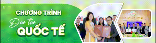 Dao tao quoc te