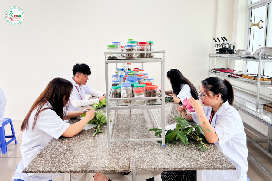 Sinh viên ngành Dược thực hành với dược liệu trong phòng thí nghiệm