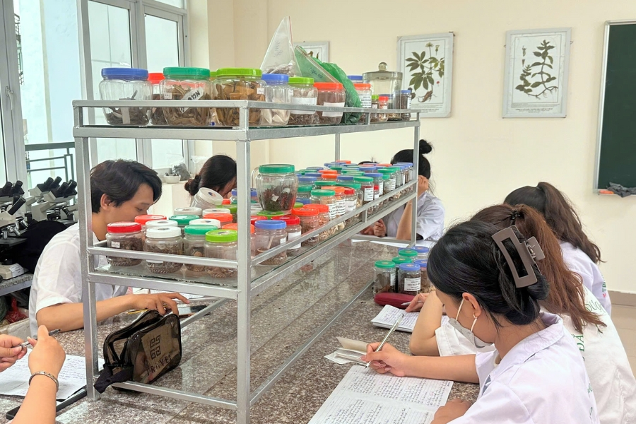 Sinh viên ngành Dược học trong giờ thực hành dược liệu, rèn luyện kỹ năng nhận biết và phân tích dược chất