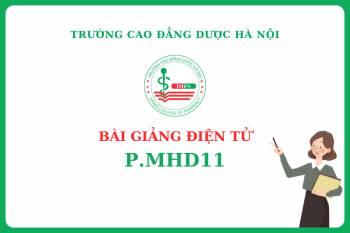 Bài giảng điện tử P.MHD11