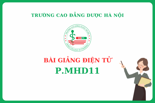 Bài giảng điện tử P.MHD11