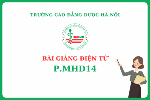 Bài giảng điện tử P.MHD14