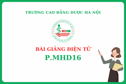 Bài giảng điện tử P.MHD16
