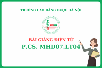 Bài giảng điện tử P.CS. MHD07.LT04