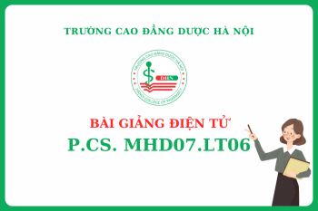 Bài giảng điện tử P.CS. MHD07.LT06