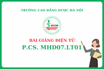 Bài giảng điện tử P.CS. MHD07.LT01