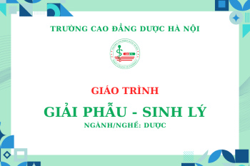Giáo trình giải phẫu sinh lý (Ngành/nghề: Dược)