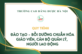 Quy trình đào tạo - bồi dưỡng chuẩn hóa giáo viên, cán bộ quản lý, người lao động