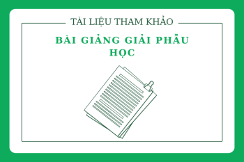 Tài liệu tham khảo Bài giảng Giải phẫu học