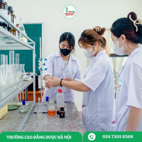 Báo cáo kết quả tự đánh giá chất lượng chương trình đào tạo ngành/nghề Dược trình độ Cao đẳng năm 2024