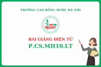 Bài giảng điện tử P.CS.MH10.LT