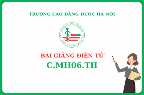 Bài giảng điện tử C.MH06.TH