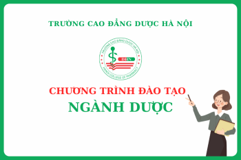 Chương trình đào tạo chi tiết ngành Dược hệ Cao đẳng tại Trường Cao đẳng Dược Hà Nội
