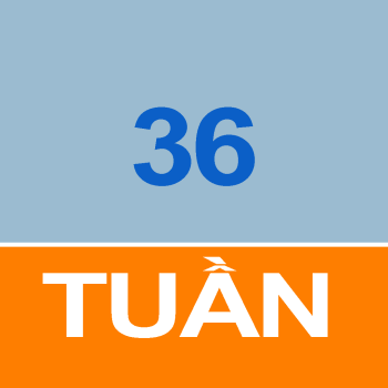 Thời khóa biểu sinh viên tuần 36 năm học 2023-2024