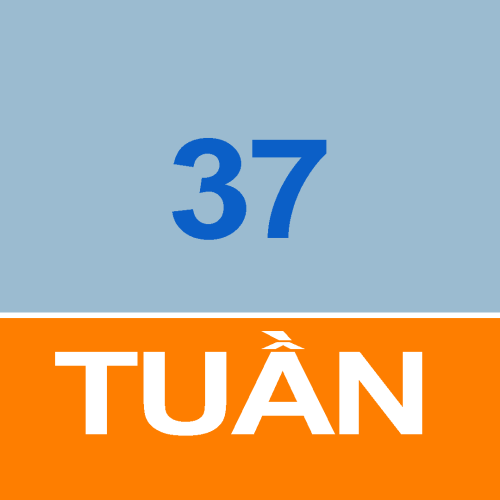 Thời khóa biểu sinh viên tuần 37 năm học 2023-2024