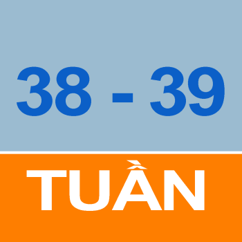 Thời khóa biểu sinh viên tuần 38 - 39 năm học 2023-2024