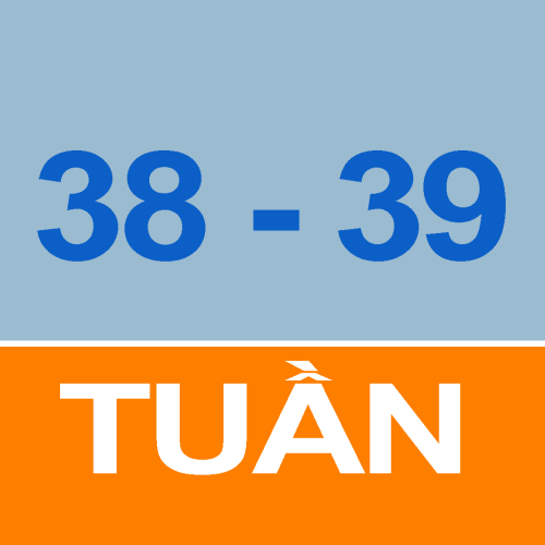 Thời khóa biểu sinh viên tuần 38 - 39 năm học 2023-2024