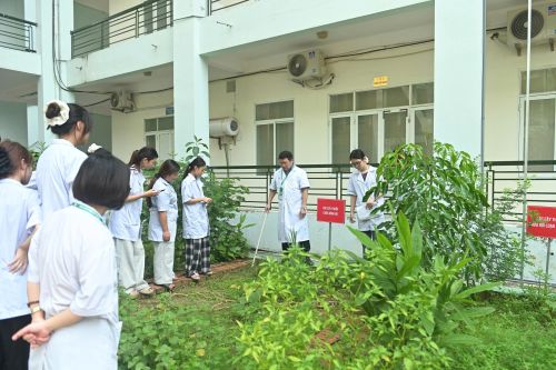 Khám phá Vườn dược liệu tại Trường Cao đẳng Dược Hà Nội